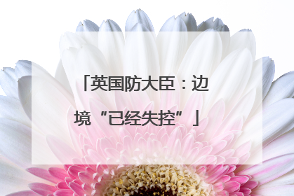 英国防大臣：边境“已经失控”