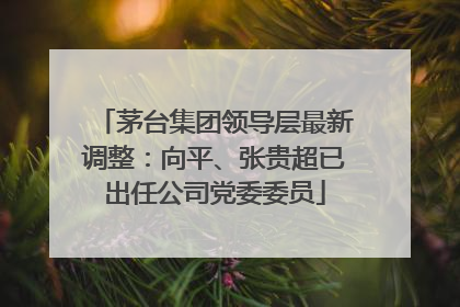 茅台集团领导层最新调整：向平、张贵超已出任公司党委委员