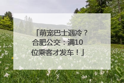 萌宠巴士遇冷？合肥公交：满10位乘客才发车！