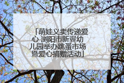 萌娃义卖传递爱心 浏阳市新翼幼儿园举办跳蚤市场暨爱心捐赠活动