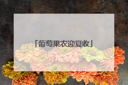 葡萄果农迎夏收