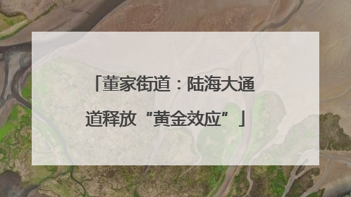 董家街道：陆海大通道释放“黄金效应”