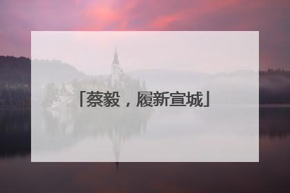 蔡毅，履新宣城