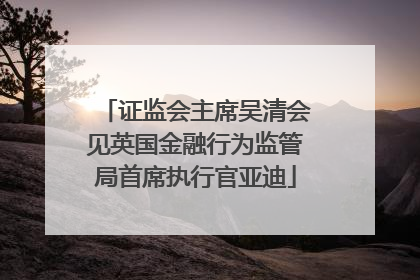 证监会主席吴清会见英国金融行为监管局首席执行官亚迪
