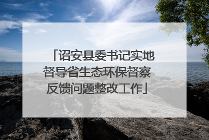 诏安县委书记实地督导省生态环保督察反馈问题整改工作