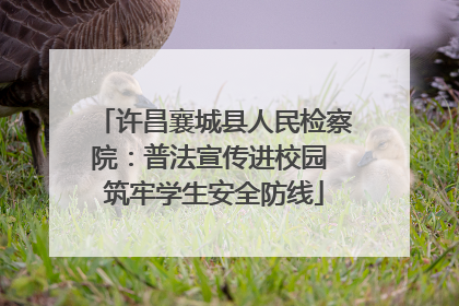 许昌襄城县人民检察院：普法宣传进校园 筑牢学生安全防线