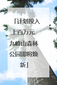 计划投入上百万元 九峰山森林公园即将焕新