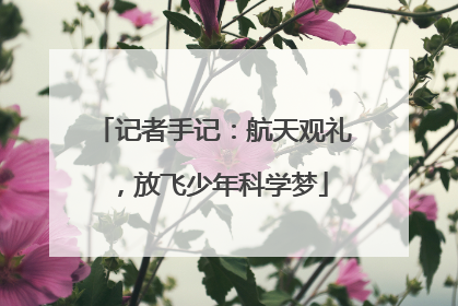 记者手记：航天观礼，放飞少年科学梦