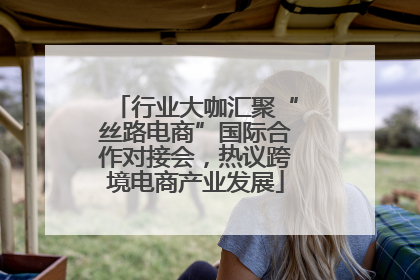 行业大咖汇聚“丝路电商”国际合作对接会，热议跨境电商产业发展