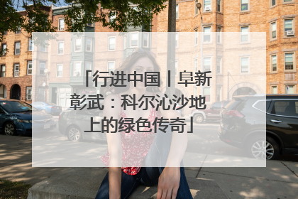 行进中国丨阜新彰武：科尔沁沙地上的绿色传奇