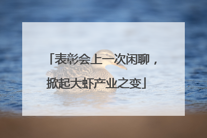 表彰会上一次闲聊，掀起大虾产业之变