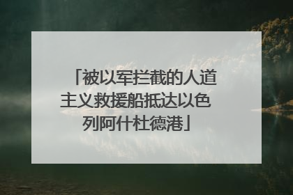 被以军拦截的人道主义救援船抵达以色列阿什杜德港