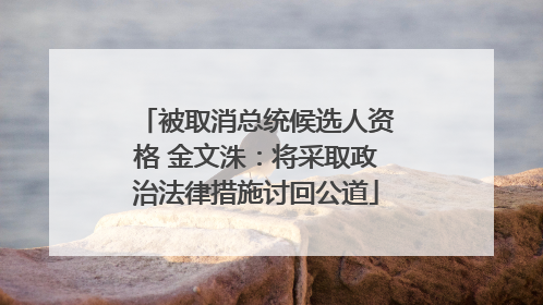 被取消总统候选人资格 金文洙：将采取政治法律措施讨回公道