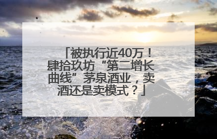 被执行近40万！肆拾玖坊“第二增长曲线”茅泉酒业，卖酒还是卖模式？
