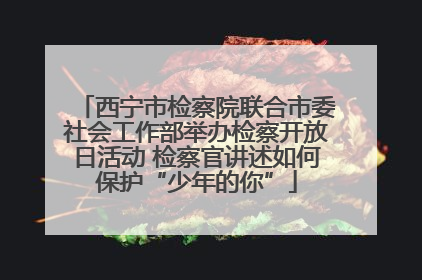 西宁市检察院联合市委社会工作部举办检察开放日活动 检察官讲述如何保护“少年的你”