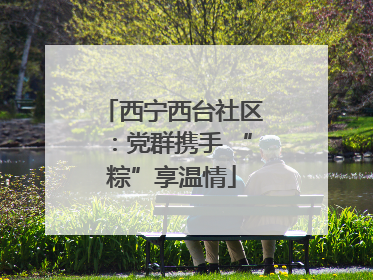 西宁西台社区：党群携手 “粽”享温情