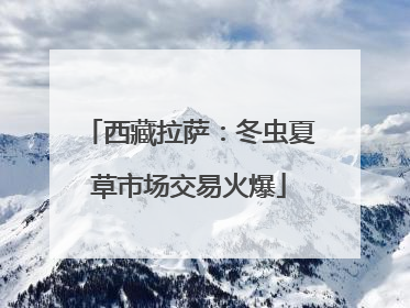 西藏拉萨：冬虫夏草市场交易火爆