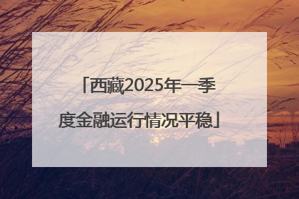 西藏2025年一季度金融运行情况平稳