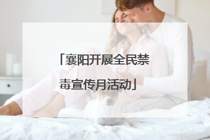 襄阳开展全民禁毒宣传月活动