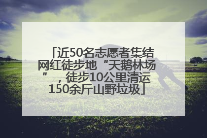 近50名志愿者集结网红徒步地“天鹅林场”，徒步10公里清运150余斤山野垃圾