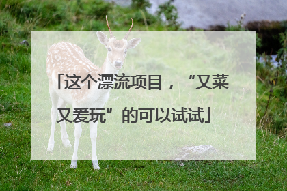 这个漂流项目，“又菜又爱玩”的可以试试