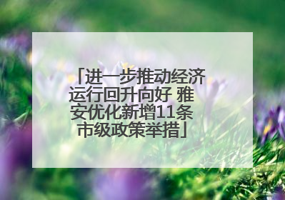 进一步推动经济运行回升向好 雅安优化新增11条市级政策举措