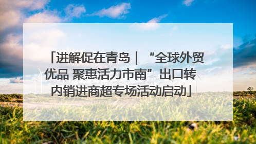 进解促在青岛｜“全球外贸优品 聚惠活力市南”出口转内销进商超专场活动启动