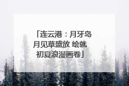 连云港：月牙岛月见草盛放 绘就初夏浪漫画卷