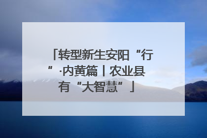 转型新生安阳“行”·内黄篇丨农业县有“大智慧”
