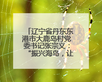 辽宁省丹东东港市大鹿岛村党委书记张宗义：“振兴海岛，让乡亲们都过上好日子”