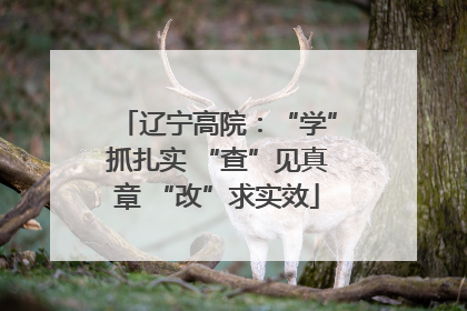 辽宁高院：“学”抓扎实 “查”见真章 “改”求实效