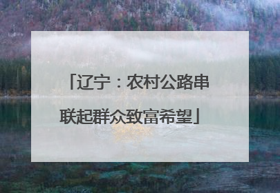 辽宁：农村公路串联起群众致富希望