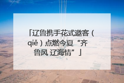 辽鲁携手花式邀客（qiě）点燃今夏“齐鲁风 辽海情”