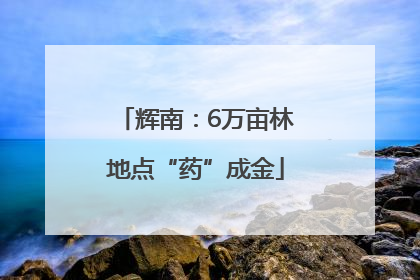 辉南：6万亩林地点“药”成金