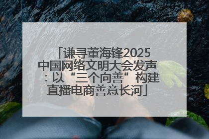 谦寻董海锋2025中国网络文明大会发声：以“三个向善”构建直播电商善意长河