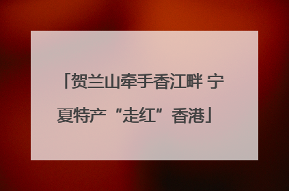 贺兰山牵手香江畔 宁夏特产“走红”香港