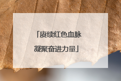 赓续红色血脉 凝聚奋进力量