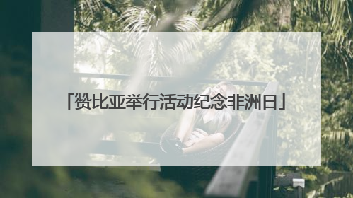 赞比亚举行活动纪念非洲日