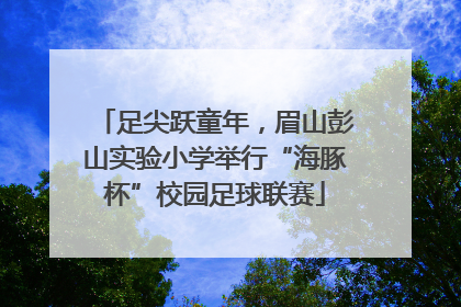 足尖跃童年，眉山彭山实验小学举行“海豚杯”校园足球联赛
