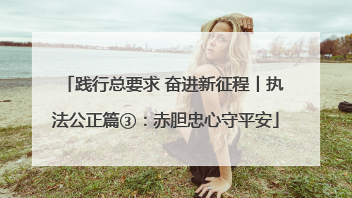 践行总要求 奋进新征程丨执法公正篇③：赤胆忠心守平安