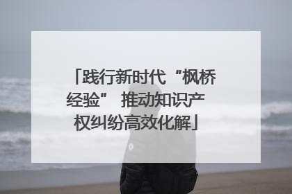 践行新时代“枫桥经验” 推动知识产权纠纷高效化解