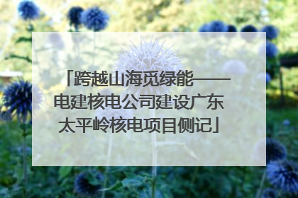 跨越山海觅绿能——电建核电公司建设广东太平岭核电项目侧记