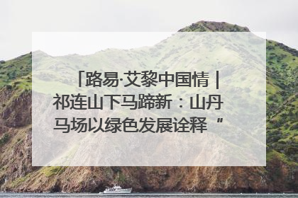 路易·艾黎中国情｜祁连山下马蹄新：山丹马场以绿色发展诠释“两山”理论实践