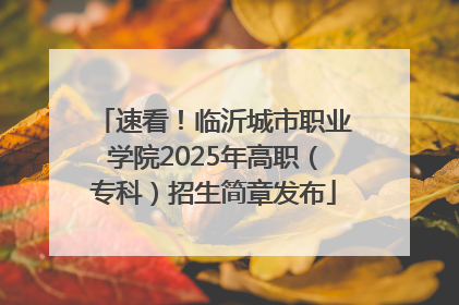 速看！临沂城市职业学院2025年高职（专科）招生简章发布