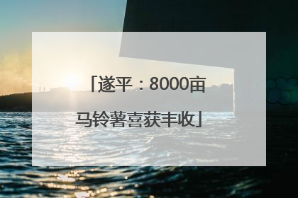 遂平：8000亩马铃薯喜获丰收