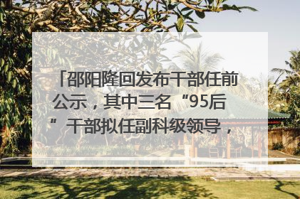 邵阳隆回发布干部任前公示，其中三名“95后”干部拟任副科级领导，均系硕士选调生