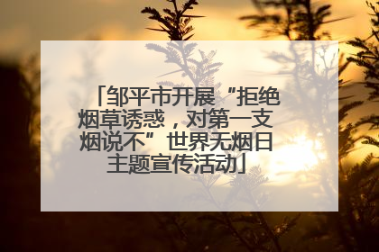 邹平市开展“拒绝烟草诱惑，对第一支烟说不”世界无烟日主题宣传活动