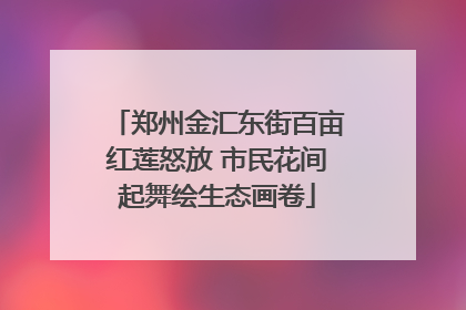 郑州金汇东街百亩红莲怒放 市民花间起舞绘生态画卷