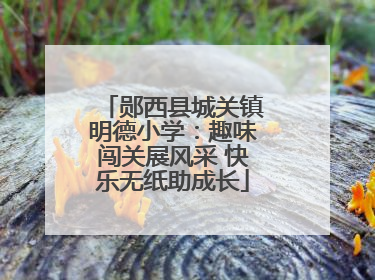 郧西县城关镇明德小学：趣味闯关展风采 快乐无纸助成长