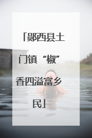 郧西县土门镇“椒”香四溢富乡民